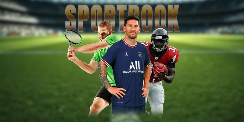 Danh mục trải nghiệm đa dạng tại CMD thể thao